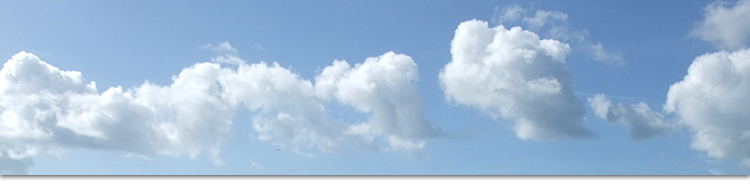 homepage banner
